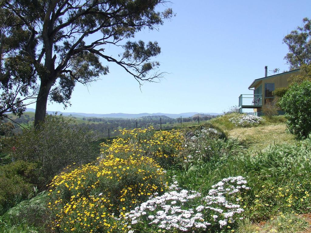 Burnt Creek Cottages Mansfield Exterior photo